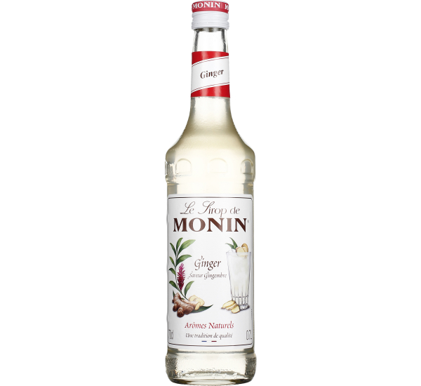 Monin Gingembre # 01