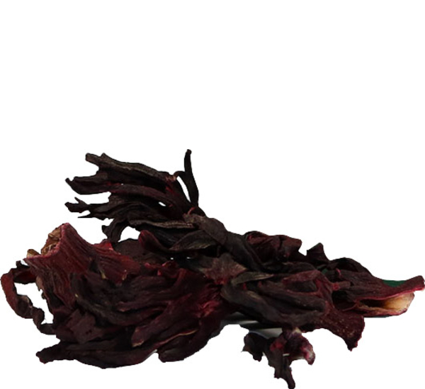 Botanica Hibiscus Flower # 11